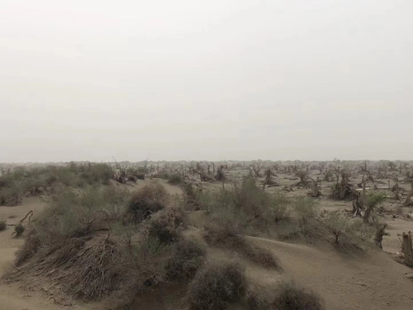 平穩(wěn)生活被拆遷打斷，看深圳動(dòng)拆遷律師怎么幫忙維權(quán)