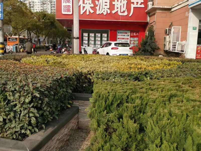 大鵬新區(qū)律師:誤拆=強(qiáng)拆！是對房屋的蓄意“謀殺”!構(gòu)成犯罪！