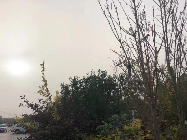 深圳離婚糾紛律師提醒：這些財(cái)產(chǎn)都屬于夫妻共同財(cái)產(chǎn)，要這么分割！